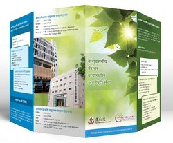 Services News Udpates of Funeral Services